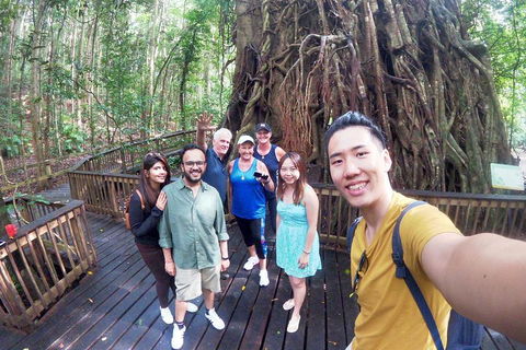 Barron Gorge And Kuranda National Park Half Day Rainforest And Waterfall 4WD Tour From Cairns - Sydney Tourism 5