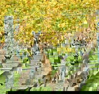 Margaret River Indulge and Discover Day Tour - Sydney Tourism