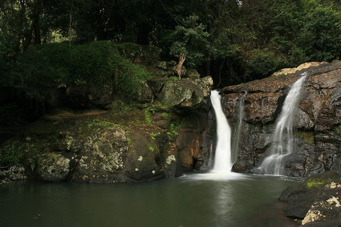 Hinterland Magic & Glow-worm Experience - Sydney Tourism 2