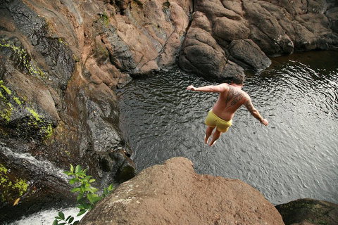 Hinterland Magic & Glow-worm Experience - Sydney Tourism 3