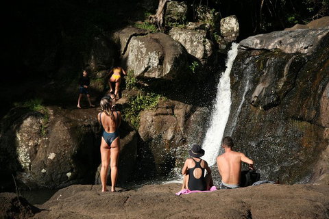 Hinterland Magic & Glow-worm Experience - Sydney Tourism 5