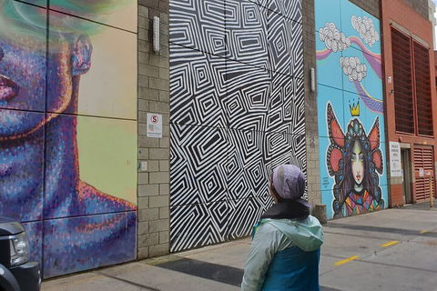 Jimmy C Street Art Walking Tour - Sydney Tourism 2