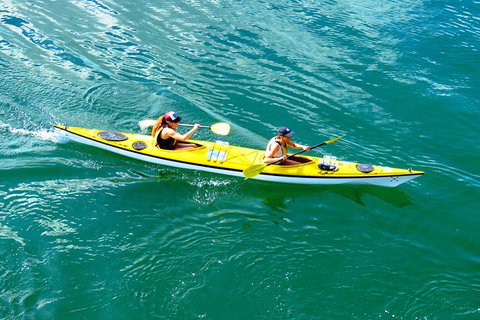 Self-Guided Sydney Middle Harbour Kayak 3 Hour Tour By Double Kayak - Sydney Tourism 1