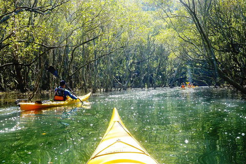 Self-Guided Sydney Middle Harbour Kayak 3 Hour Tour By Double Kayak - Sydney Tourism 3