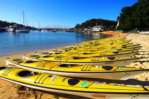 Self-Guided Sydney Middle Harbour Kayak 3 Hour Tour By Double Kayak - Sydney Tourism 4