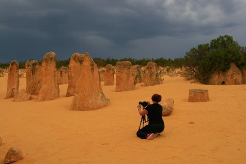 The Pinnacles, Sea And Dunescapes, Bush Reserve And Sunset Day Tour - Sydney Tourism 2