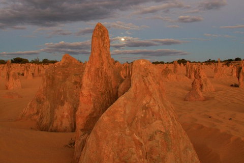 The Pinnacles, Sea And Dunescapes, Bush Reserve And Sunset Day Tour - Sydney Tourism 4