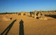 The Pinnacles, Sea And Dunescapes, Bush Reserve And Sunset Day Tour - thumb 5