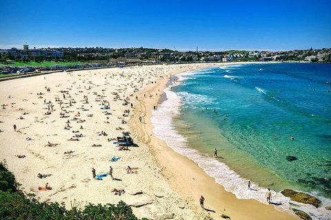 Sydney & Bondi Beach Plus Local Secrets With 'Personalised Sydney Tours' - Sydney Tourism 5