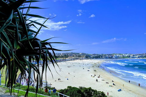 Sydney Secrets & Bondi Private 4 Hour Afternoon With 'Personalised Sydney Tours' - Sydney Tourism 0