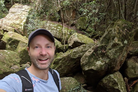 Australian Wildlife & Waterfalls Private Tour With 'Personalised Sydney Tours' - Sydney Tourism 4