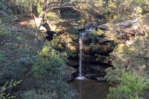 Australian Wildlife & Waterfalls Private Tour With 'Personalised Sydney Tours' - Sydney Tourism 5