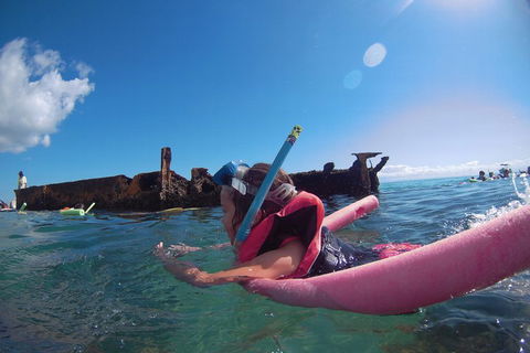 All Inclusive Dolphin And Tangalooma Wrecks Cruise - Sydney Tourism 2