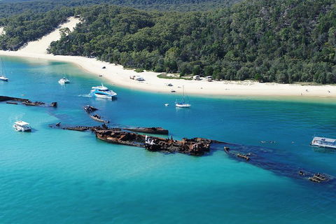 All Inclusive Dolphin And Tangalooma Wrecks Cruise - Sydney Tourism 4