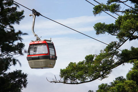 Sydney Taronga Zoo General Entry Ticket And Wild Australia Experience - Sydney Tourism 2