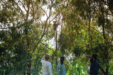 LGBT+ Friendly 3 Day Tour The Grampians, Daylesford & Ballarat - Sydney Tourism 4