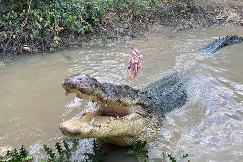 Top End Waterfalls And Wetlands - Sydney Tourism 0