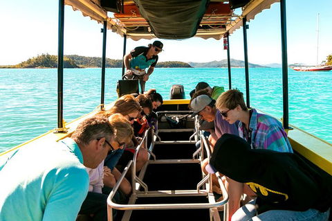 Airlie Beach Glass Bottom Boat Tour - Sydney Tourism 1