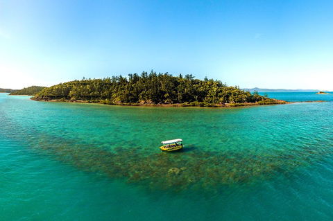 Airlie Beach Glass Bottom Boat Tour - Sydney Tourism 3