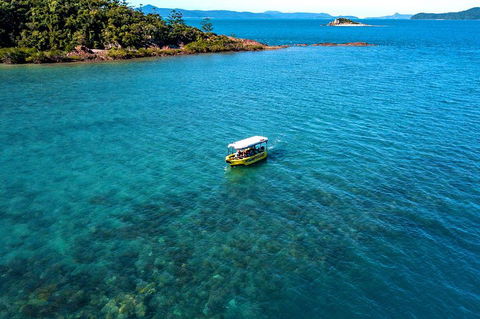 Airlie Beach Glass Bottom Boat Tour - Sydney Tourism 4