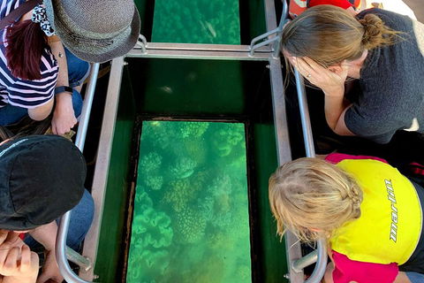 Airlie Beach Glass Bottom Boat Tour - Sydney Tourism 5