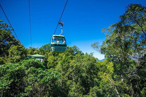 Skyrail Rainforest Cableway Day Trip From Cairns - Sydney Tourism 1