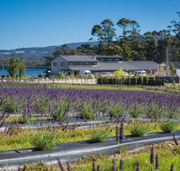 Private Hobart Discover South East Food and Scenic Tour - Sydney Tourism