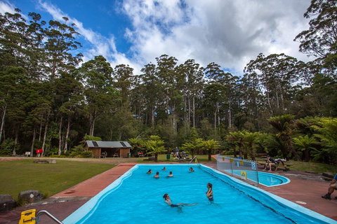 Tahune Airwalk Active Day Trip From Hobart Including Hastings Caves - Sydney Tourism 0