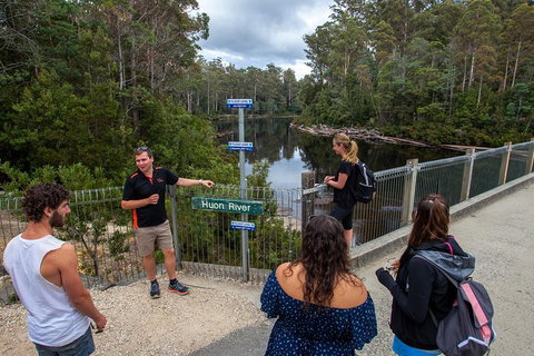 Tahune Airwalk Active Day Trip From Hobart Including Hastings Caves - Sydney Tourism 1