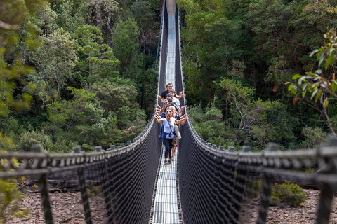 Tahune Airwalk Active Day Trip From Hobart Including Hastings Caves - Sydney Tourism 3