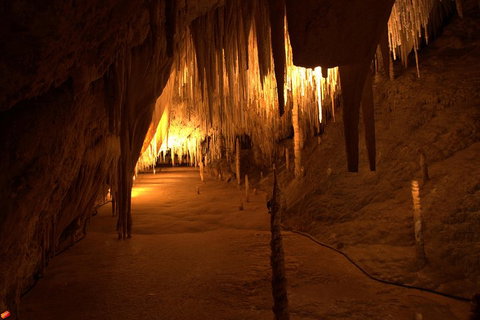 Tahune Airwalk Active Day Trip From Hobart Including Hastings Caves - Sydney Tourism 4