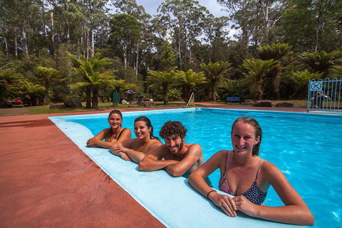 Tahune Airwalk Active Day Trip From Hobart Including Hastings Caves - Sydney Tourism 5