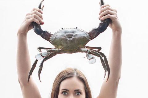 The Ultimate Gold Coast Attractions Pass - Sydney Tourism 0