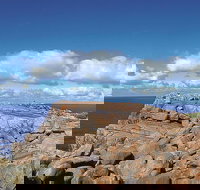 4 Day Tour Albany Margaret River Valley of the Giants TreeTop Walk from Perth - Sydney Tourism