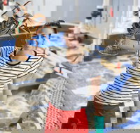 Pinnacles Desert Koalas and Sandboarding 4WD Day Tour from Perth - Sydney Tourism