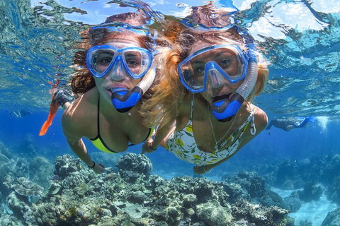 Great Barrier Reef Snorkeling And Diving Cruise From Cairns - Sydney Tourism 3