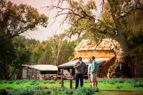 Yura Udnyu - Our Culture, Your Culture (Aboriginal Cultural Walk) - Sydney Tourism 0