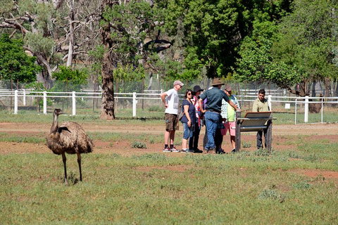 Yura Udnyu - Our Culture, Your Culture (Aboriginal Cultural Walk) - Sydney Tourism 1
