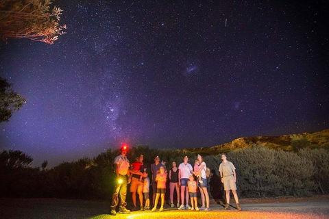 Alice Springs Desert Park Nocturnal Tour - Sydney Tourism 2