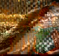 The Perth Mint Guided Heritage Tour and Gold Pour - Sydney Tourism