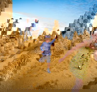 Full-Day Pinnacles Desert and Yanchep National Park Tour From Perth - Sydney Tourism