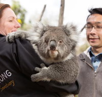 Bonorong Wildlife Park and Richmond Afternoon Tour from Hobart - Sydney Tourism