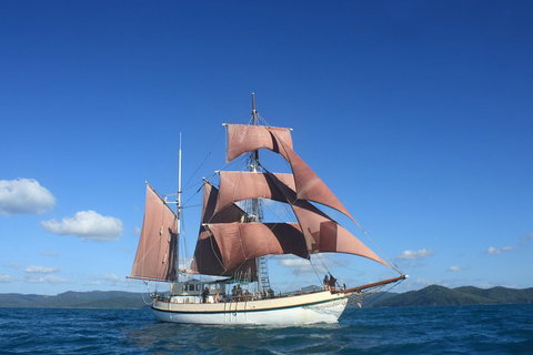 Sydney Harbour Tall Ship Whale & Sail - Whale Watching Cruise - Sydney Tourism 1