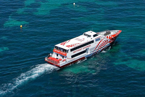 Discover Rottnest With Ferry & Bus Tour From Perth Or Fremantle - Sydney Tourism 3