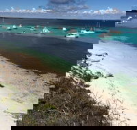 Experience Rottnest with Ferry  Bike Hire from Perth or Fremantle - Sydney Tourism