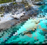 Rottnest Island Round-Trip Ferry from Perth or Fremantle - Sydney Tourism