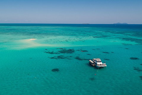 Ocean Freedom Great Barrier Reef Personal Luxury Snorkel & Dive Cruise, Cairns - Sydney Tourism 2