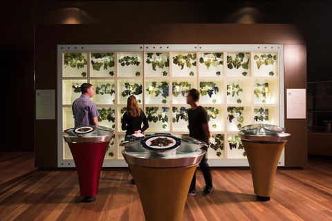 Australian Wine Discovery Tour Ticket - Sydney Tourism 3