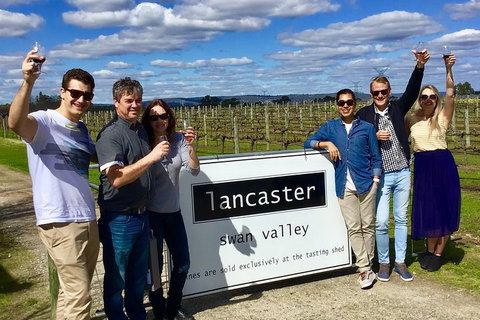 Swan Valley Tour From Perth: Wine, Beer And Chocolate Tastings - Sydney Tourism 1
