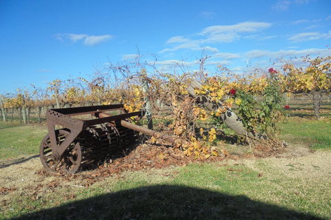 Swan Valley Tour From Perth: Wine, Beer And Chocolate Tastings - Sydney Tourism 3